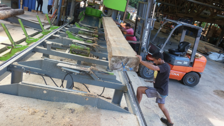 À Papara, la nouvelle ligne de scie envoie du bois