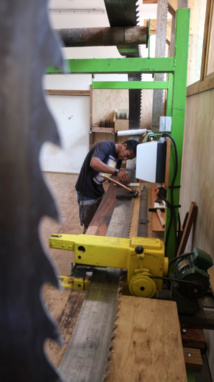 À Papara, la nouvelle ligne de scie envoie du bois