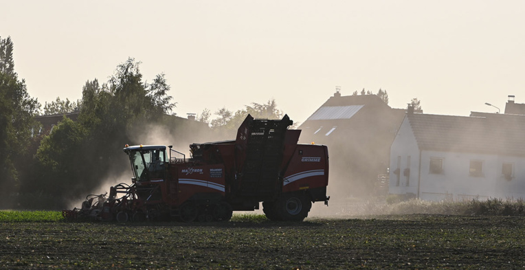 Traces de néonicotinoïdes dans 10% d'aliments végétaux