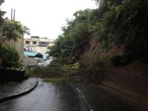 Credit photo: Parrain JYves Soyer