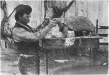 Rollo Beck en plein travail de naturalisation d’une tortue des îles Galápagos.