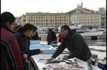 Marseille: les étals de poissonniers de retour sur le Vieux-Port