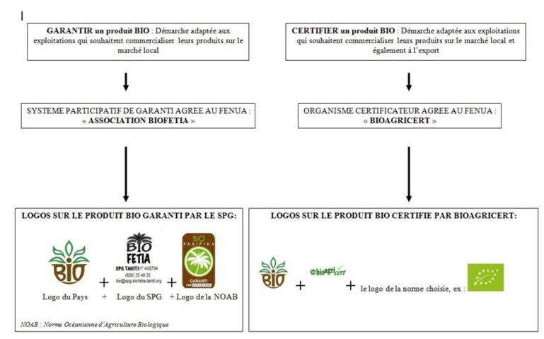 Comment reconnaître les produits Bio du Fenua