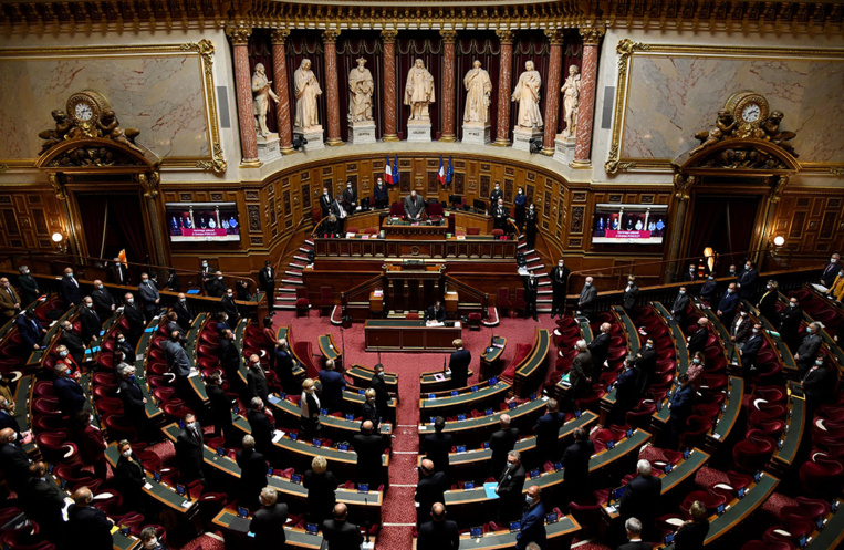 Néonicotinoïdes: comment un couac électronique a parasité le vote du Sénat
