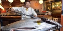 Japon: un thon rouge de 222 kilos vendu... 1,38 million d'euros