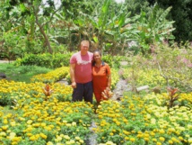 Des fleurs pour la Toussaint