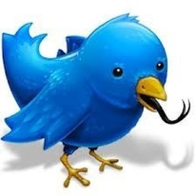 Quelles limites à la liberté d'expression pour Twitter?