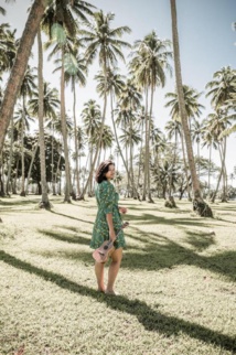 S’initier au ukulele en ligne avec Upa Upa S’initier au ukulele en ligne avec Upa Upa