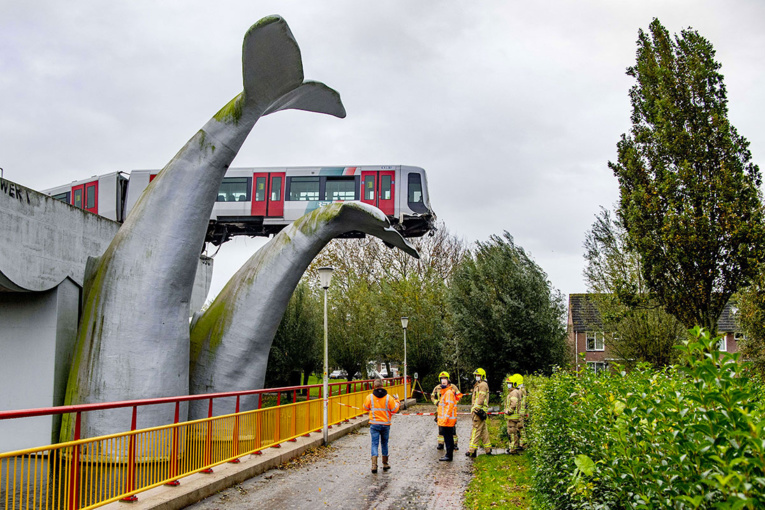 Pays-Bas: Un métro qui déraille s'échoue sur une sculpture de cétacé Pays-Bas: Un métro qui déraille s'échoue sur une sculpture de cétacé
