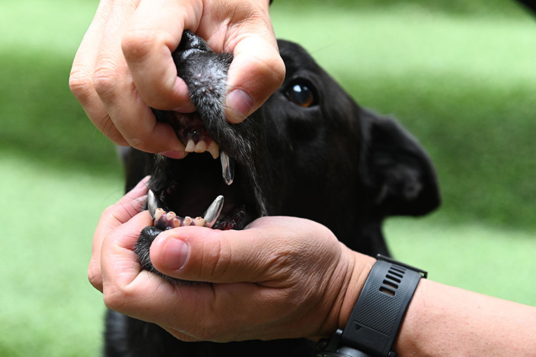 Photo d'illustration. Photo d'illustration.