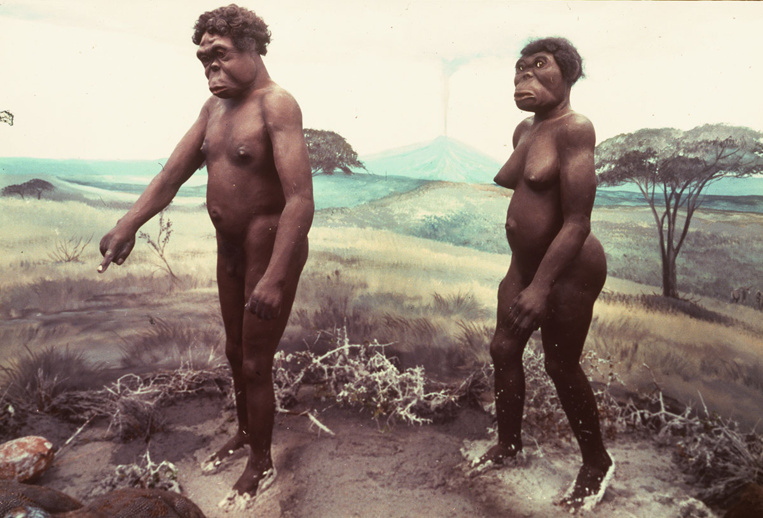 La place d'une femme est à la chasse, selon une étude