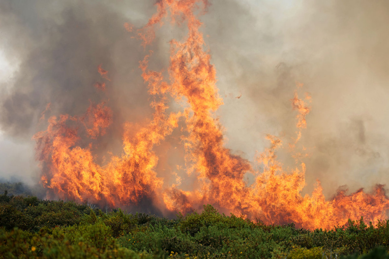 Un incendie ravage plus de 200 hectares à La Réunion