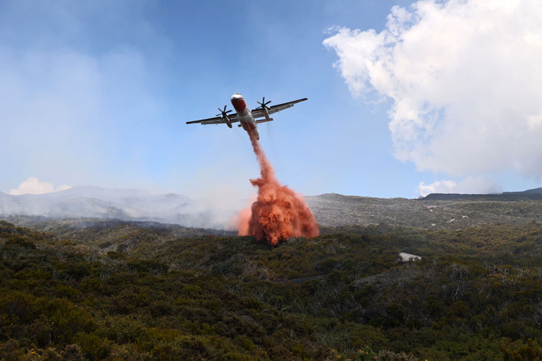 Incendie à La Réunion : un homme mis en examen pour dégradation involontaire Incendie à La Réunion : un homme mis en examen pour dégradation involontaire