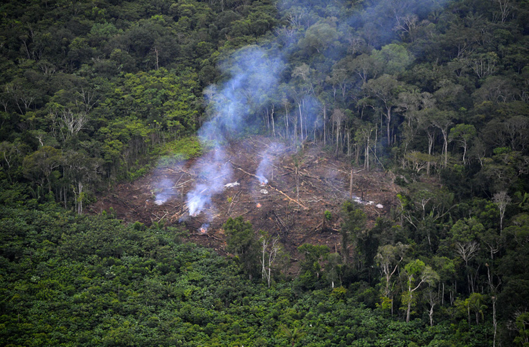 Brésil: la déforestation repart à la hausse en Amazonie Brésil: la déforestation repart à la hausse en Amazonie