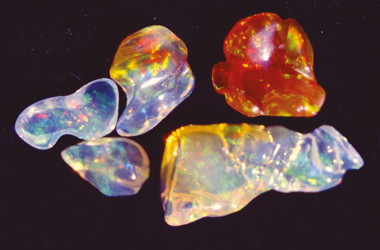 Très bel échantillon d’opales précieuses comme le Mexique peut en fournir ; ces pierres viennent juste d’être extraites de leur gangue de lave.