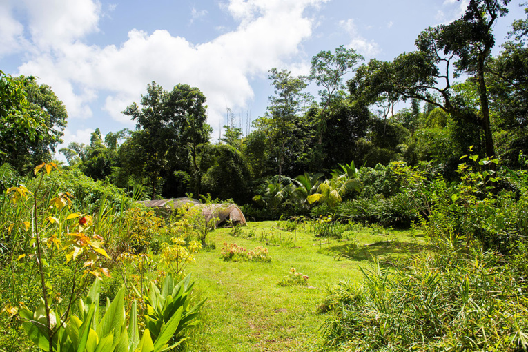 La France obtient le maintien du budget agricole européen des Outremer La France obtient le maintien du budget agricole européen des Outremer