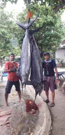 Des marlins enchanteurs aux Gambier