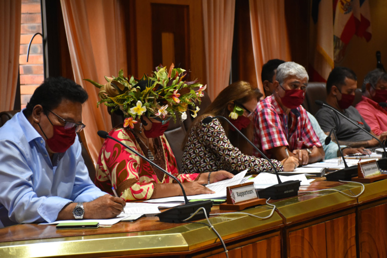 Avis favorable et pluie de recommandations pour l'aide à l'investissement des ménages