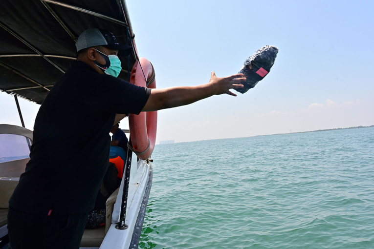 La dérive des déchets plastiques suivie par satellite pour des océans plus propres La dérive des déchets plastiques suivie par satellite pour des océans plus propres