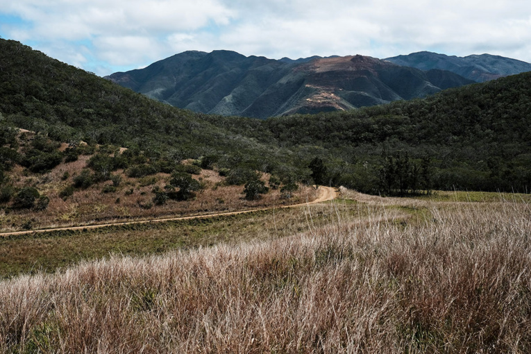 THEO ROUBY / AFP THEO ROUBY / AFP