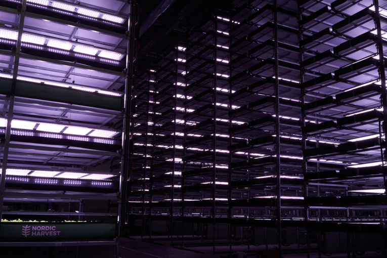 Une des plus grandes fermes "verticales" d'Europe ouvre ses portes au Danemark