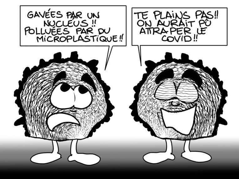 "Huitres perlières : l'intoxication", par Munoz "Huitres perlières : l'intoxication", par Munoz