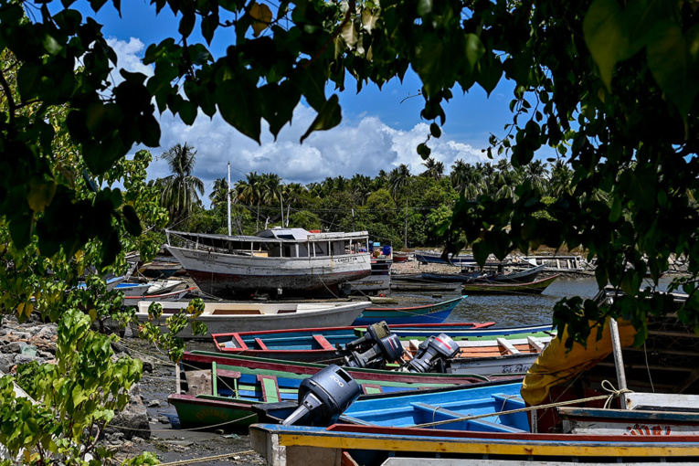 Naufrage au large du Venezuela: au moins 14 migrants vénézuéliens morts