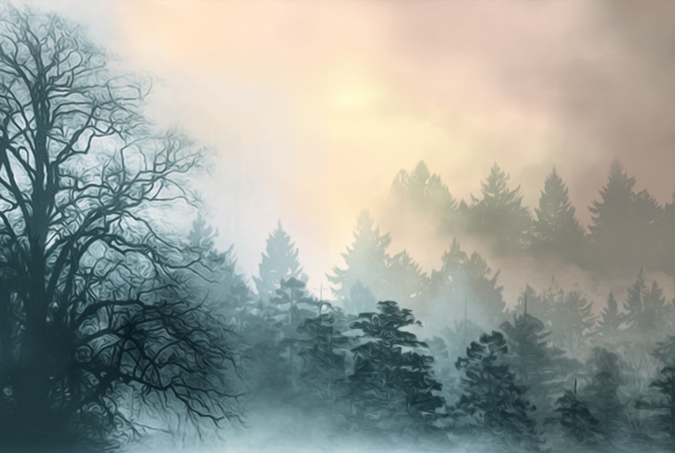 Feux de forêt: épisodes "sans précédent" en 2020, mais tendance à la baisse globale Feux de forêt: épisodes "sans précédent" en 2020, mais tendance à la baisse globale