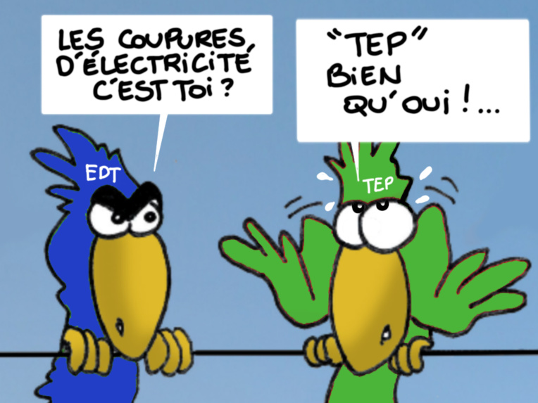 "TEP ben qu'oui, TEP ben qu'non", par Munoz