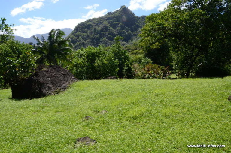 Questions foncières, mode d'emploi en Polynésie