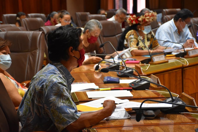 Textes sur le transport aérien : Le Cesec "désapprouve la forme" et refuse de se prononcer