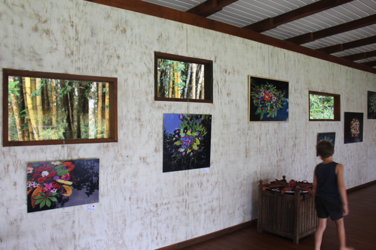 "Folichromies", une exposition originale au Vanira Lodge "Folichromies", une exposition originale au Vanira Lodge