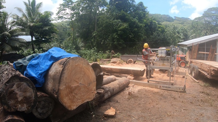 Les jeunes s'initient à la scie à Huahine