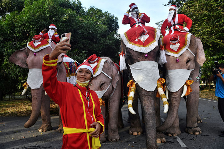 Thaïlande: des éléphants en père Noël distribuent des masques dans une école Thaïlande: des éléphants en père Noël distribuent des masques dans une école