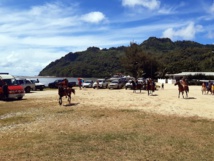 ​Une fin d'année au triple galop