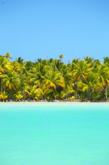 Que faire sur un atoll oublié du monde ? Les habitants de Tematangi y vivaient d’une manière d’autant plus précaire qu’ils n’étaient pas des Paumotu, mais des personnes dont les parents avaient été exilés de Tahiti à la suite d’une guéguerre locale. Que faire sur un atoll oublié du monde ? Les habitants de Tematangi y vivaient d’une manière d’autant plus précaire qu’ils n’étaient pas des Paumotu, mais des personnes dont les parents avaient été exilés de Tahiti à la suite d’une guéguerre locale.