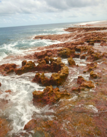 Une des raisons expliquant l’isolement de Tematangi réside dans l’absence de passe dans son récif externe, ce qui faisait de l’île une véritable prison. Une des raisons expliquant l’isolement de Tematangi réside dans l’absence de passe dans son récif externe, ce qui faisait de l’île une véritable prison.