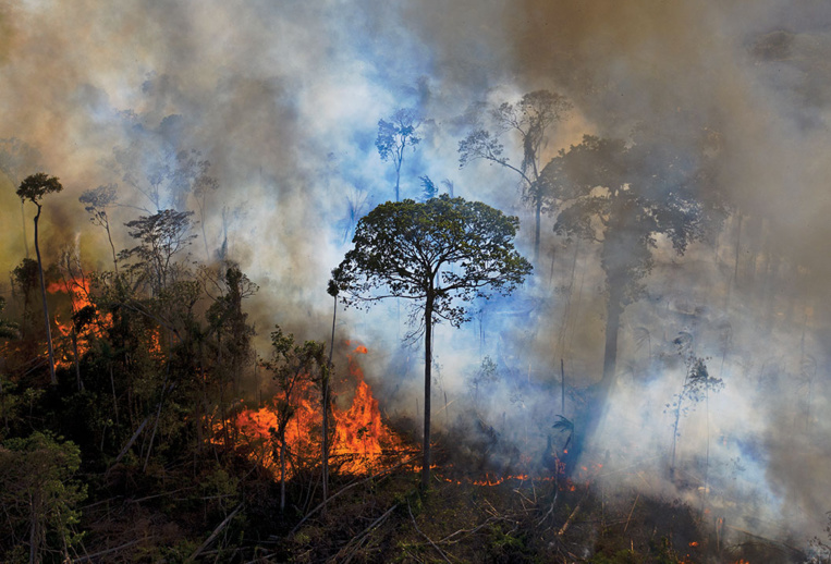 Brésil: les incendies de forêt au plus haut en dix ans Brésil: les incendies de forêt au plus haut en dix ans