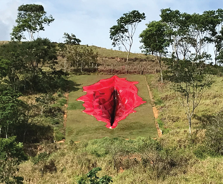 Brésil: une sculpture de vulve géante pour débattre du genre