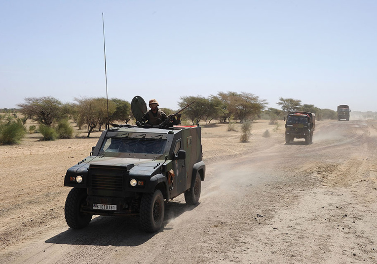Entre armée française et villageois maliens, deux versions d'un dimanche sanglant au Sahel