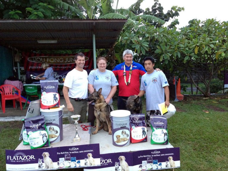 Concours de chien de défense : Ermak De La Cité Des Pluies bat le Champion de Polynésie d'un petit point
