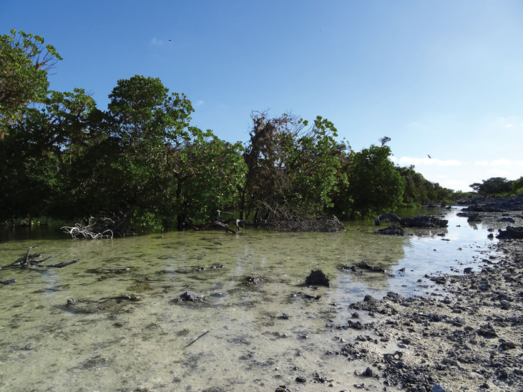 Le gouvernement présente sa stratégie d'aires protégées