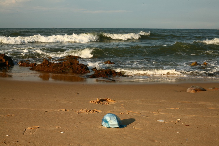 Le microplastique, de nos lessives à l'océan Arctique