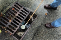Les moustiques utilisent le moindre réservoir d'eau pour se reproduire (Photo AFP).