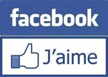Le bouton "j'aime" de Facebook en dit long sur ses utilisateurs