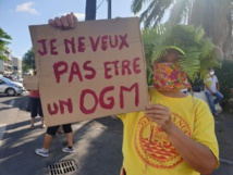 Les antivax s'invitent à l'ouverture des centres de vaccination au fenua Les antivax s'invitent à l'ouverture des centres de vaccination au fenua