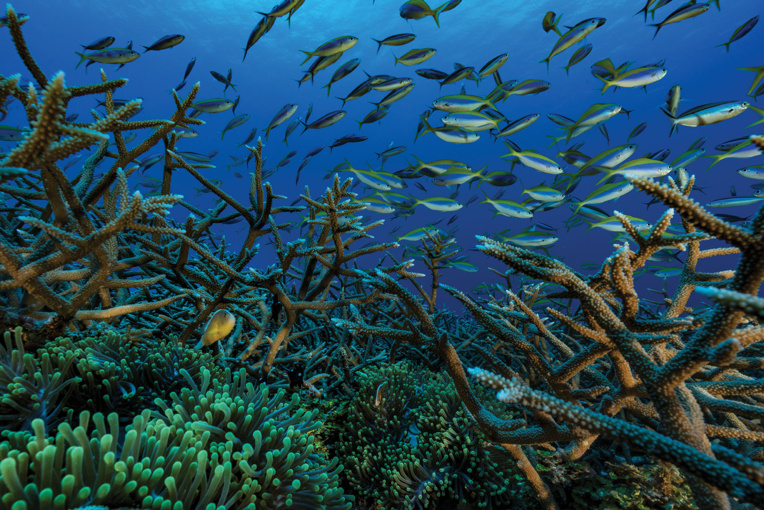 Le gouvernement précise sa stratégie pour les aires protégées