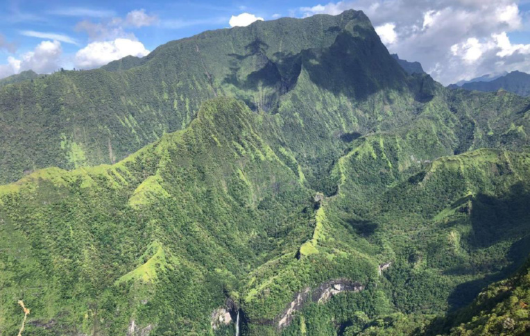 114 millions pour deux appels à projet en faveur de la biodiversité 114 millions pour deux appels à projet en faveur de la biodiversité