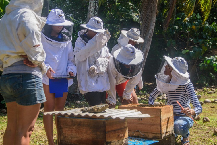 Linnea Rocher, Marquisienne de cœur, apicultrice de métier Linnea Rocher, Marquisienne de cœur, apicultrice de métier