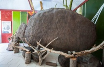 Ce pétroglyphe est la réplique exacte en silicone d'une pierre ancestrale qu'il est possible de découvrir sur les hauteurs de la vallée de Hatiheu.